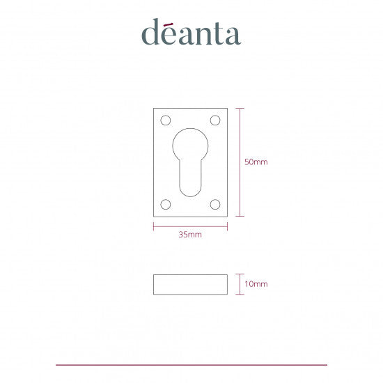 Slim Escutcheon (Pair) Satin Nickel Chrome