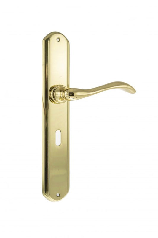 Valence Lever on Key Backplate - Polished Brass